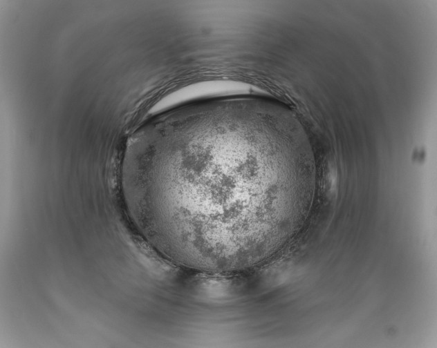 X0000089380658200706221255