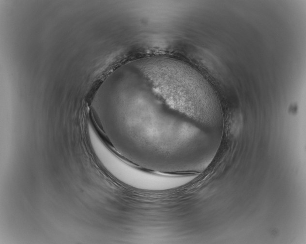 X0000089380661200706221255