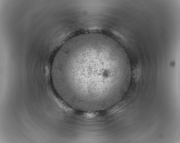 X0000089380662200706221255