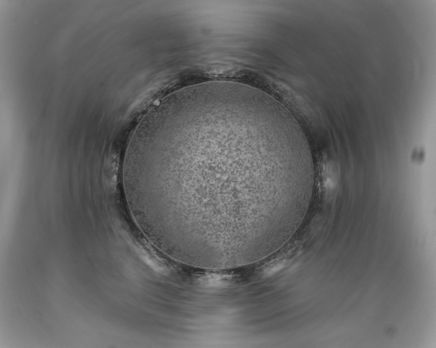 X0000089380664200706221255