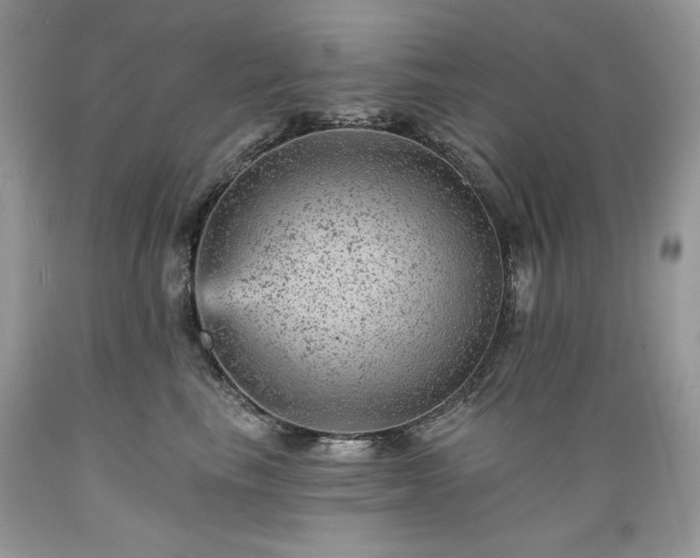 X0000089380665200706221255