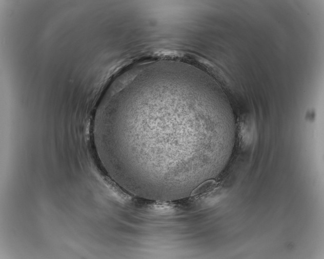X0000089380668200706221255