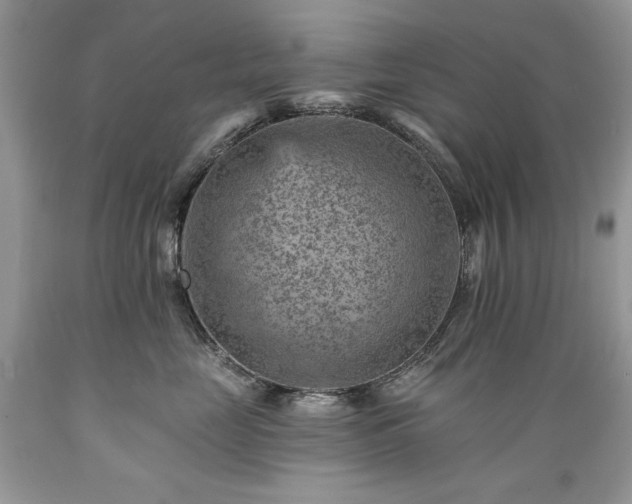 X0000089380669200706221255