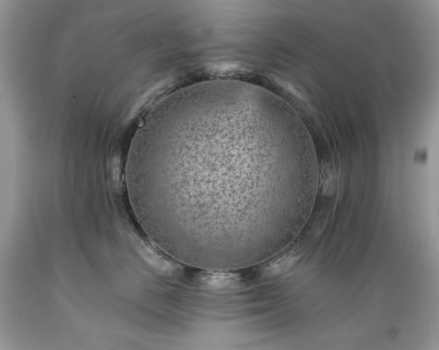X0000089380670200706221255