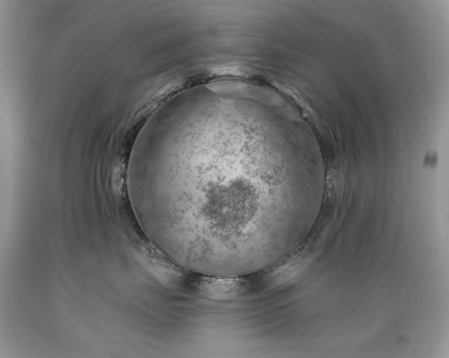 X0000089380671200706221255