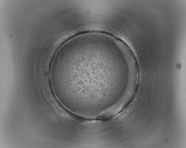 X0000089380673200706221254