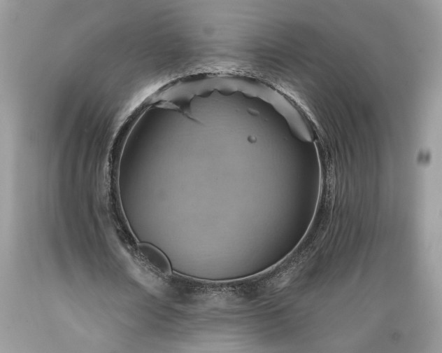 X0000089380674200706221254