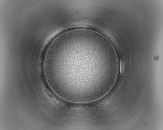 X0000089380675200706221254