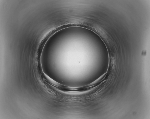X0000089380676200706221254