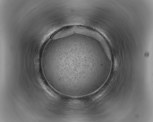 X0000089380677200706221254