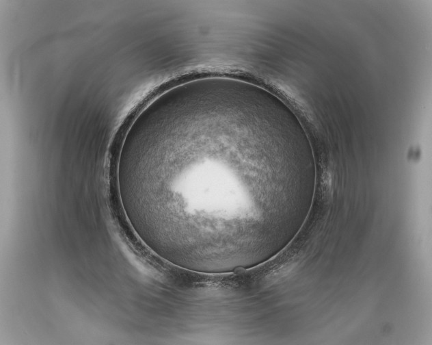 X0000089380678200706221254