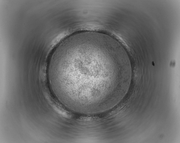 X0000089380679200706221254