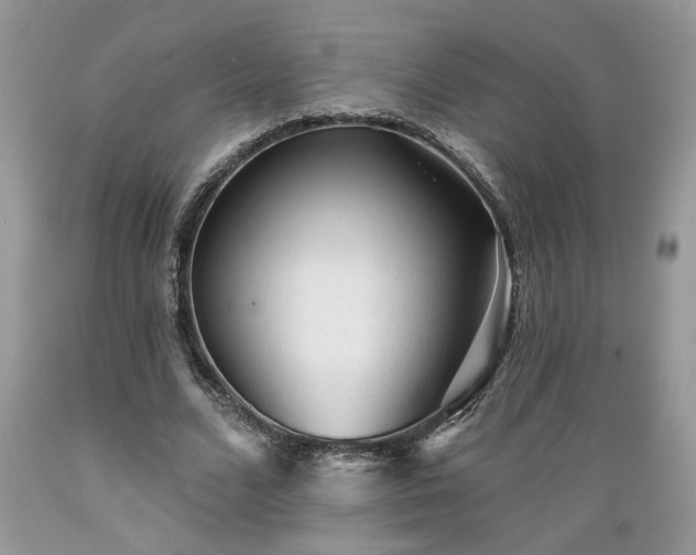 X0000089380680200706221254
