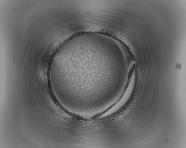 X0000089380681200706221254