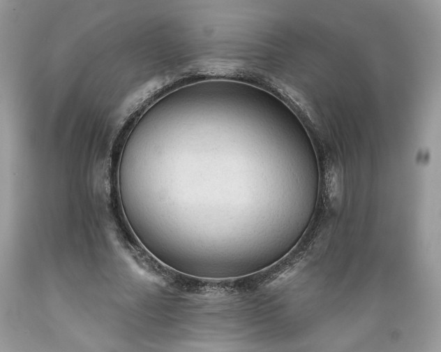 X0000089380682200706221254