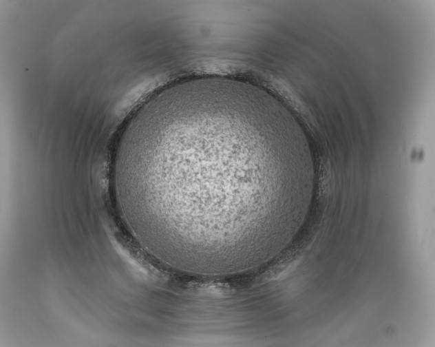 X0000089380683200706221254
