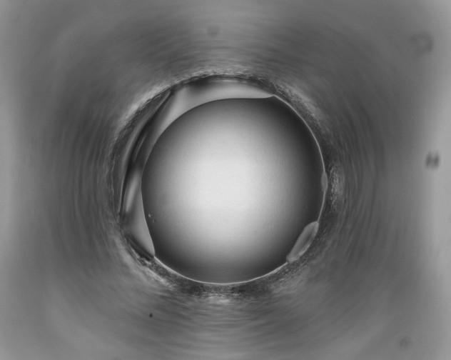 X0000089380684200706221254