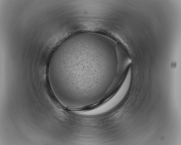 X0000089380685200706221254