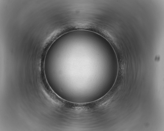 X0000089380686200706221254