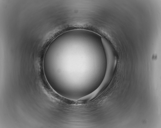 X0000089380688200706221254