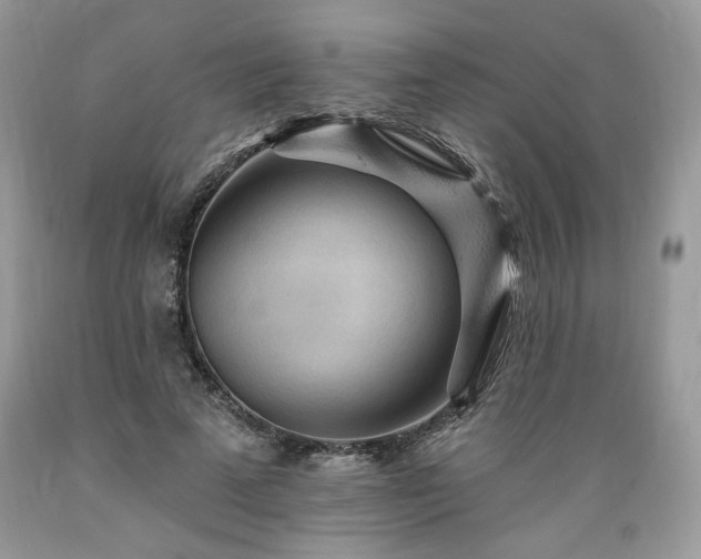 X0000089380689200706221254