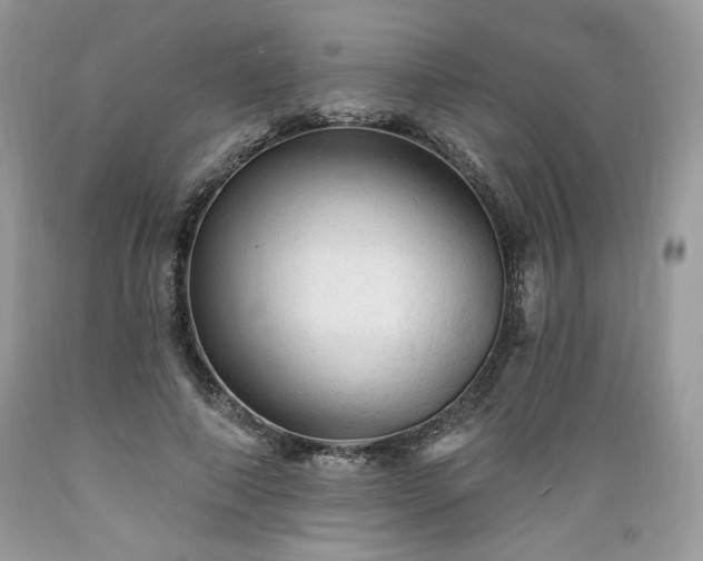 X0000089380690200706221254