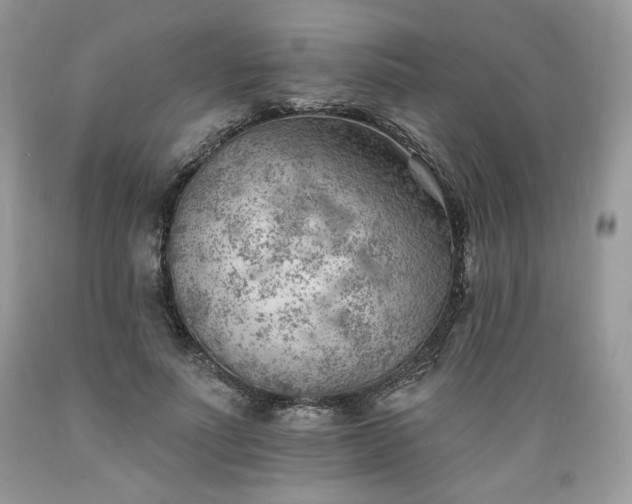 X0000089380691200706221254