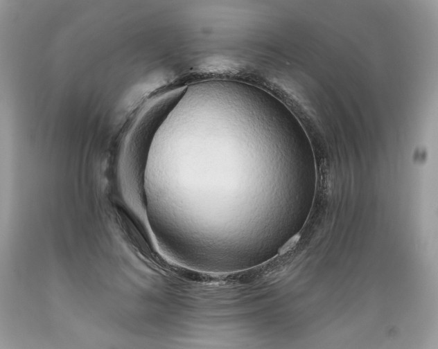 X0000089380692200706221254