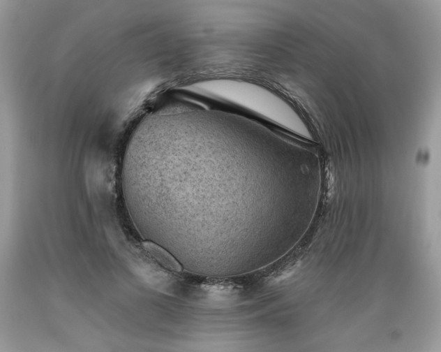 X0000089380693200706221254