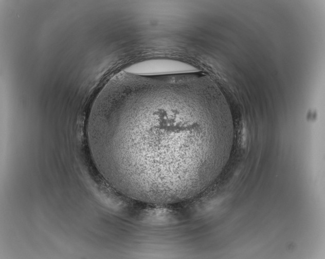 X0000089380695200706221254