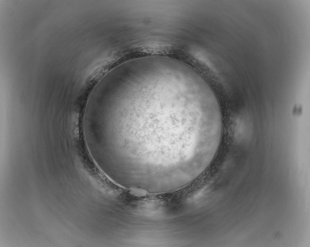 X0000089380696200706221254