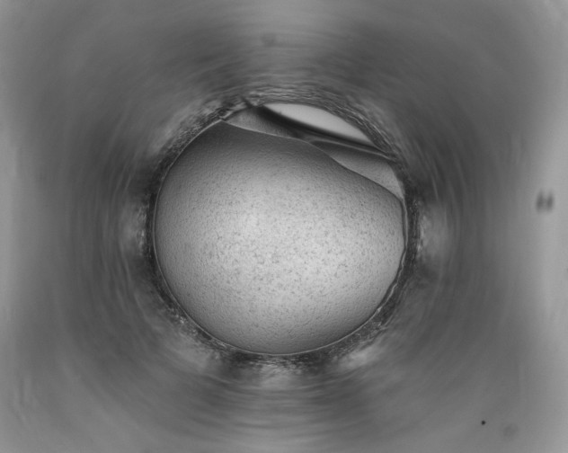 X0000089380697200706221254