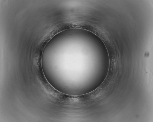 X0000089380698200706221254