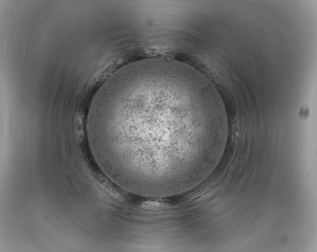 X0000089380699200706221254
