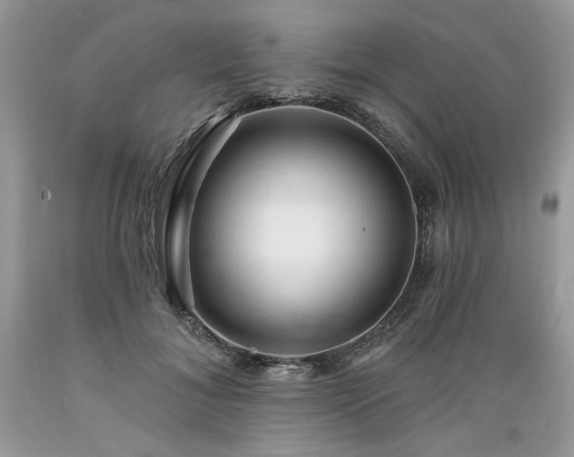 X0000089380700200706221254