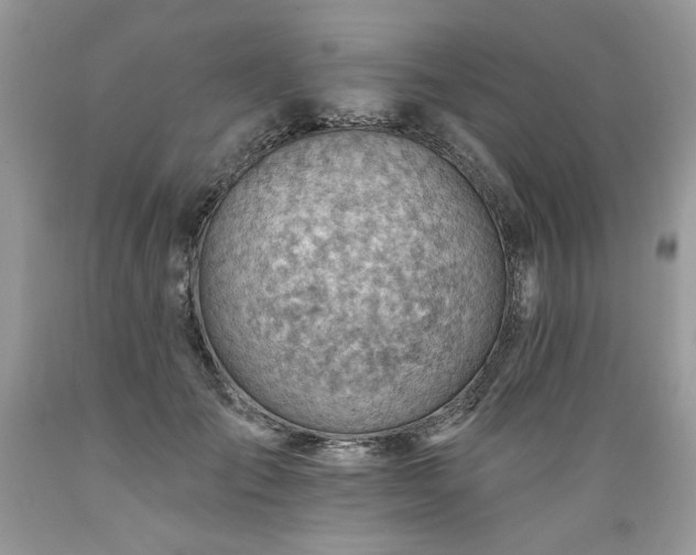 X0000089380701200706221254
