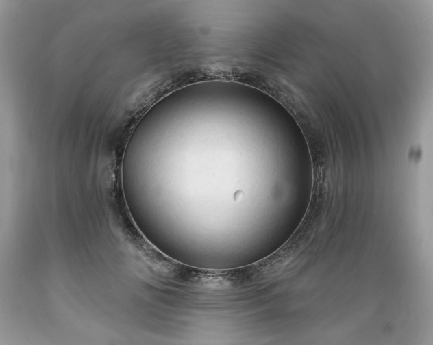 X0000089380702200706221254