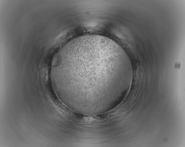 X0000089380703200706221254