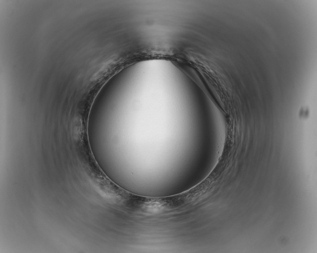 X0000089380704200706221254