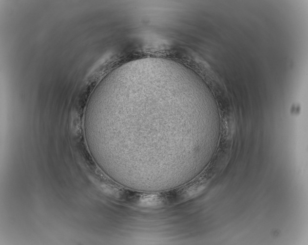 X0000089380705200706221254
