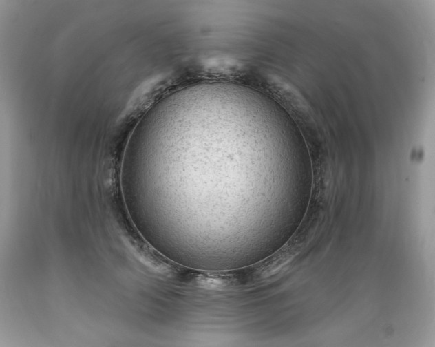 X0000089380706200706221254