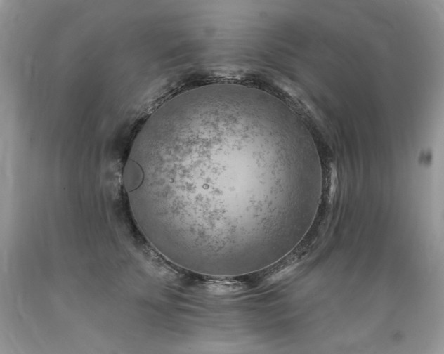 X0000089380707200706221254