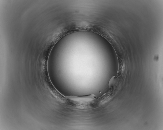 X0000089380708200706221254
