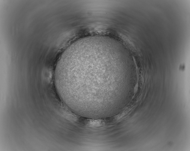 X0000089380709200706221254