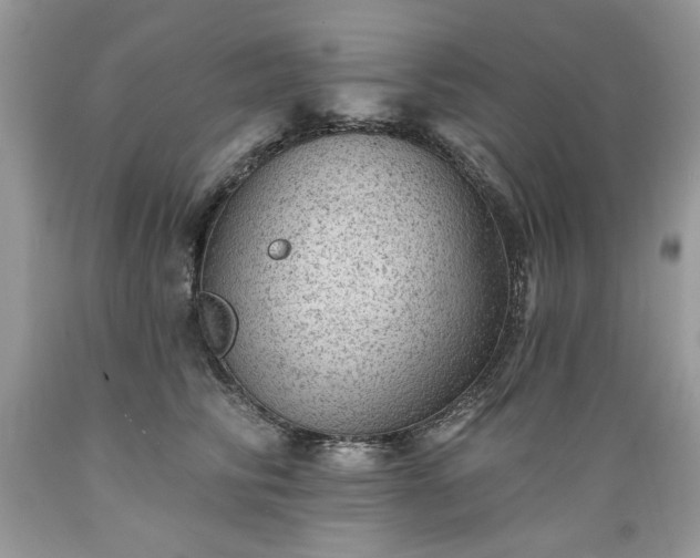 X0000089380710200706221254