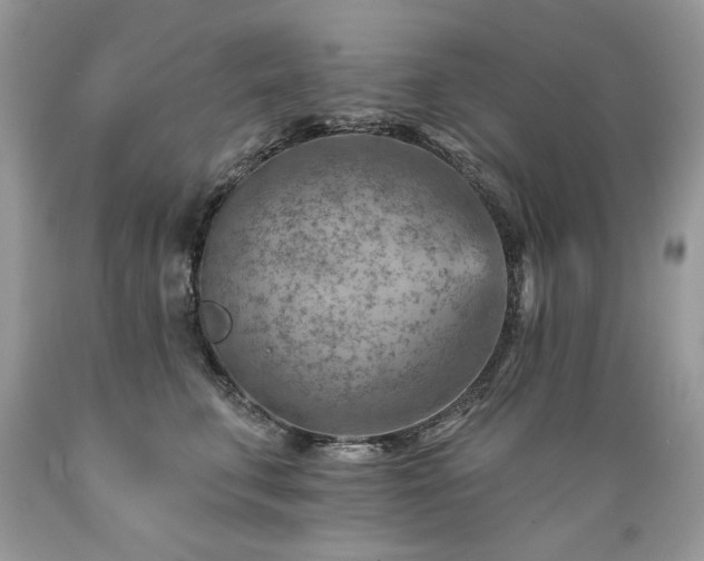 X0000089380711200706221254