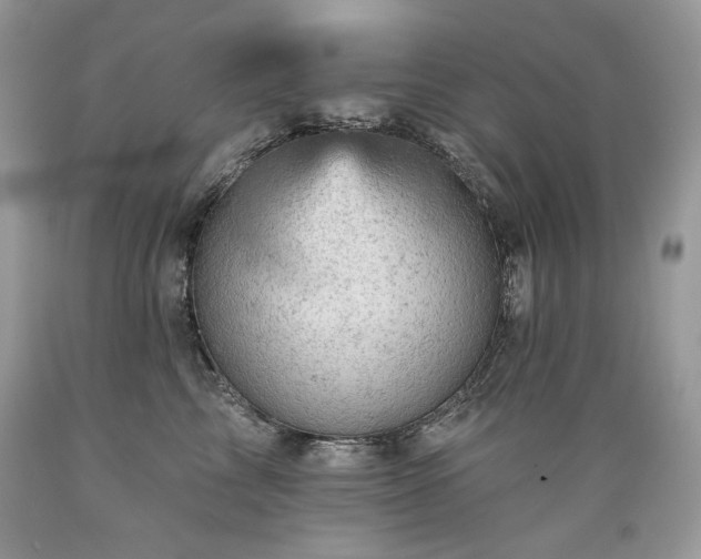 X0000089380713200706221254