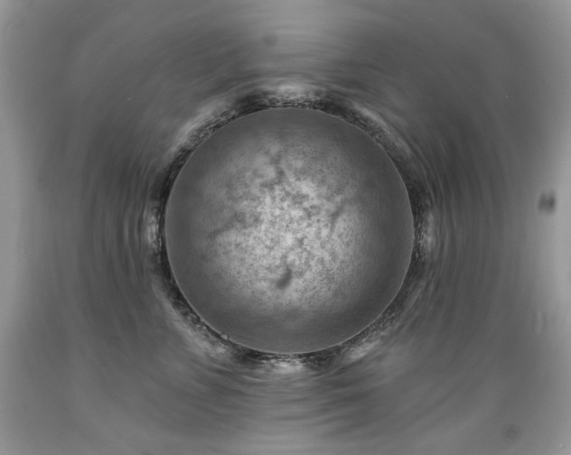 X0000089380715200706221254