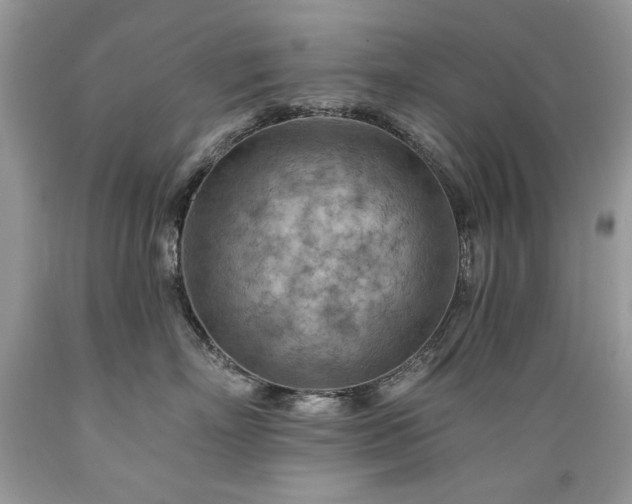 X0000089380718200706221254