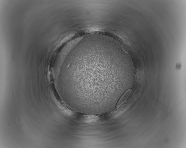 X0000089380719200706221254
